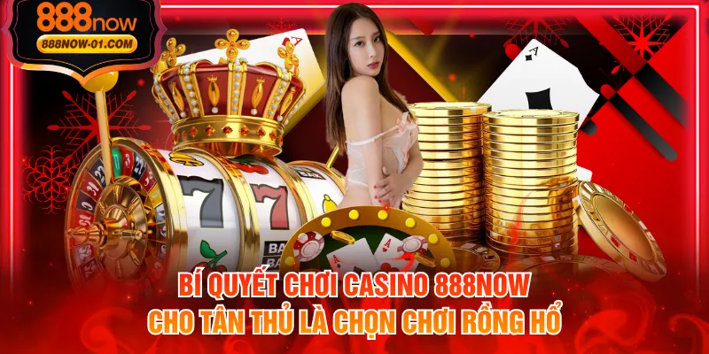 Bí quyết chơi casino 888NOW cho tân thủ là chọn chơi rồng hổ