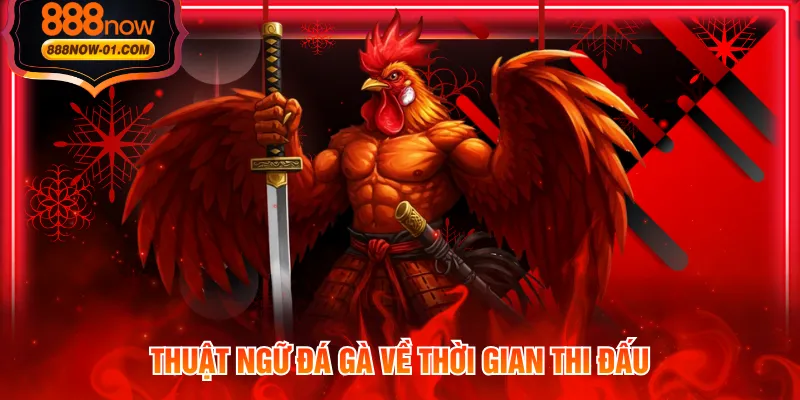 Thuật ngữ đá gà về thời gian thi đấu