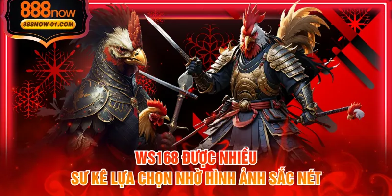 WS168 được nhiều sư kê lựa chọn nhờ hình ảnh sắc nét